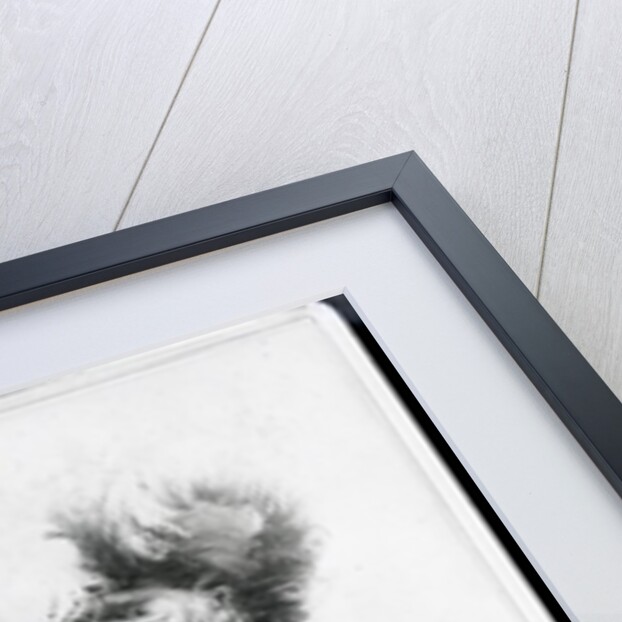 Marie Lloyd in Whacky by Whack! England