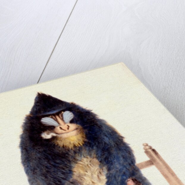 The Mandrill at the Royal Menagerie in the King's Mews by N. Jones
