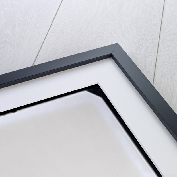 Billie Anthony and Frankie Howerd by Harry Hammond