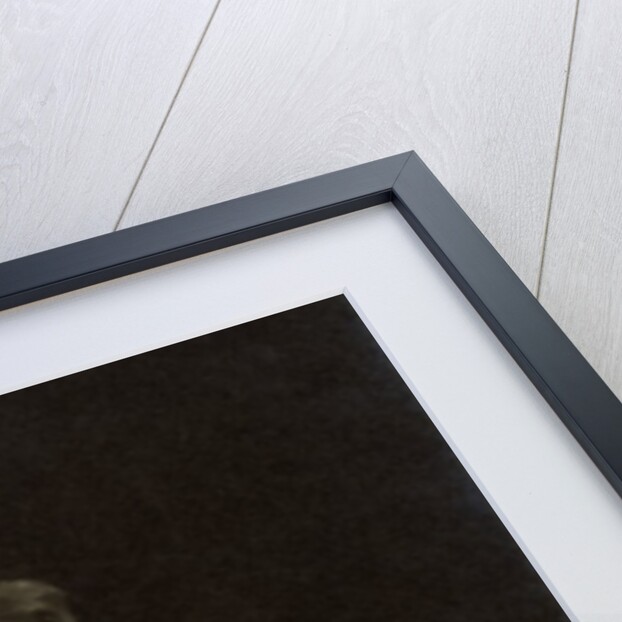 Coco the Clown by Baron Nicholas de Racozcy