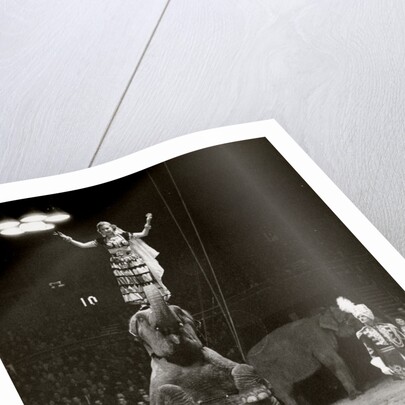 Elephant Ballet in Bertram Mills' Circus by Baron Nicholas de Racozcy