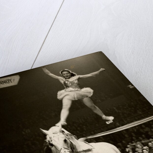 Florence Stephenson in Bertram Mills' Circus by Baron Nicholas de Racozcy