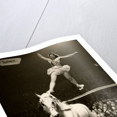 Florence Stephenson in Bertram Mills' Circus by Baron Nicholas de Racozcy