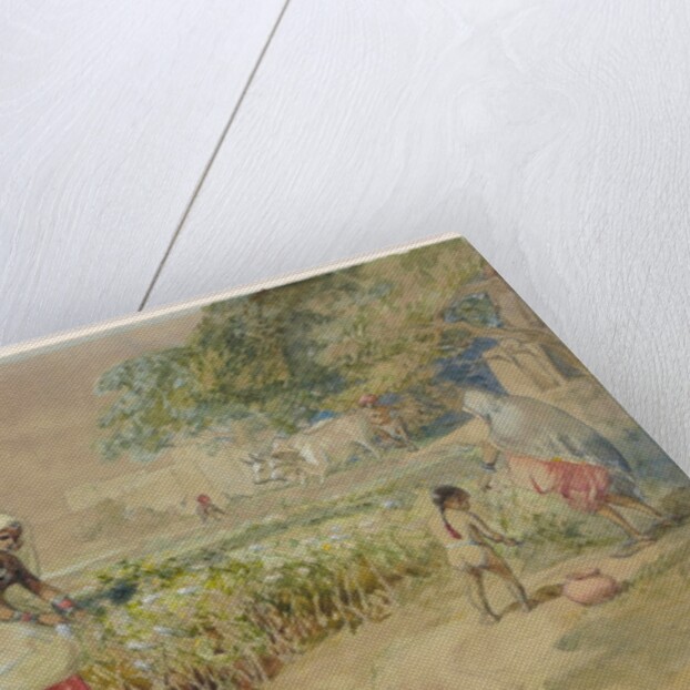 Cotton cultivation in India by William Simpson