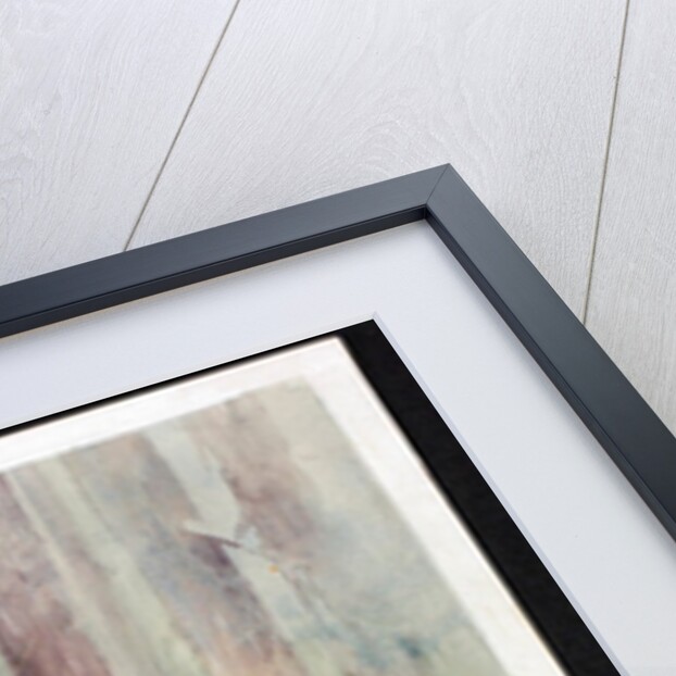 Gujar Women in the Pir Panjal Forest by Pirie