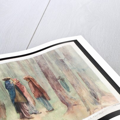 Gujar Women in the Pir Panjal Forest by Pirie