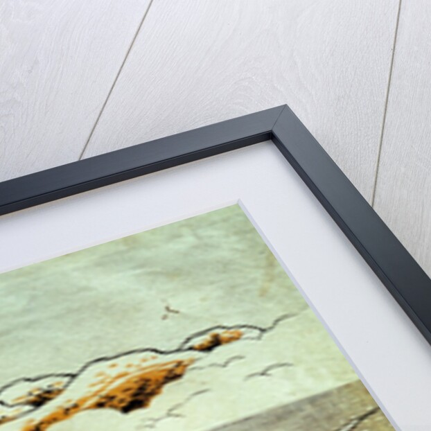 A Pair of Mandarin Ducks in Snow by Isoda Koryûsai