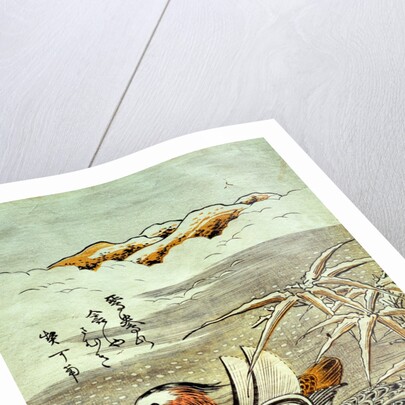 A Pair of Mandarin Ducks in Snow by Isoda Koryûsai