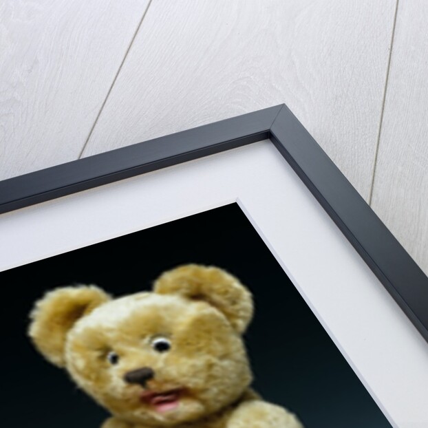 Three teddy bears by Shuco