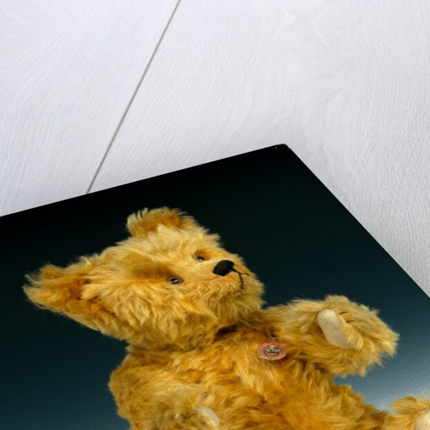 Yes/No teddy bear by Shuco