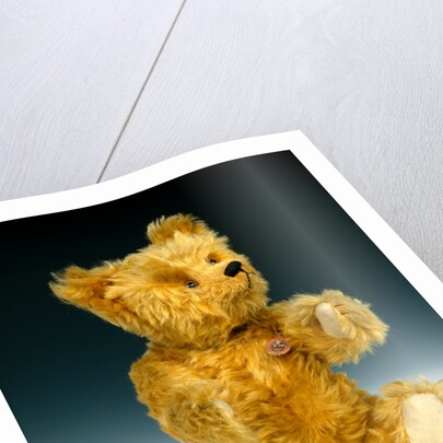 Yes/No teddy bear by Shuco