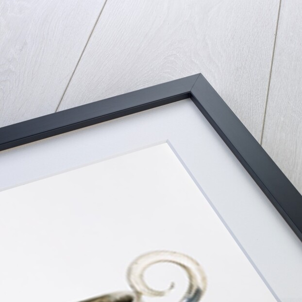 Gourd bowl. Central America, 17th century by Unknown