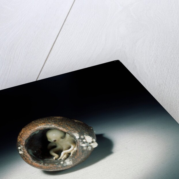 Netsuke by Ohara Mitsuhiro & Kaigyokusai Masatsugu
