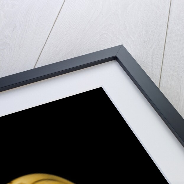 Netsuke figure of a dog by Unknown