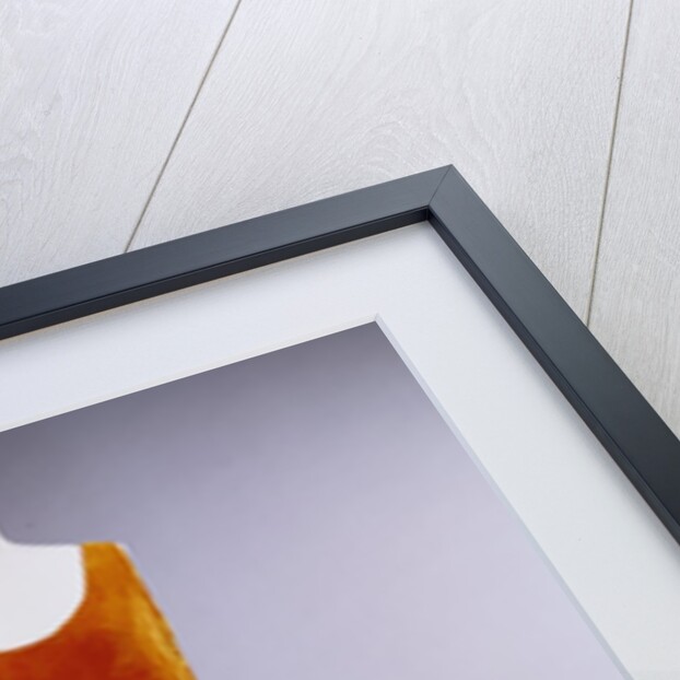 Flapper dress by Voisin