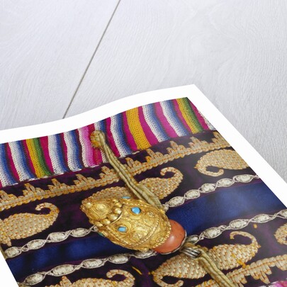 Robe, detail. Eastern Turkestan, 19th-20th century by Unknown