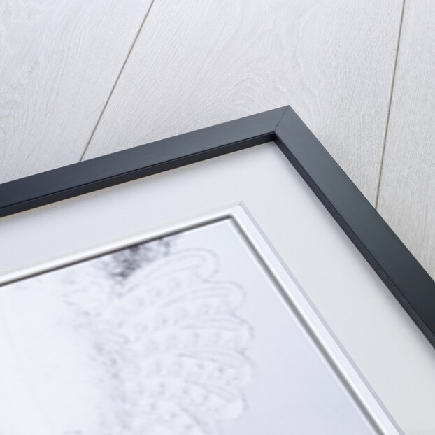 Alex Bergonzi & Alan Rebbeck as the Ugly Sisters in Cinderella by Graham Brandon