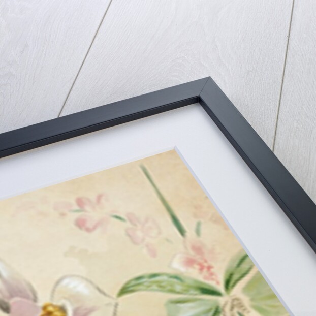 Costume design for a female Orchide by Attilio Comelli