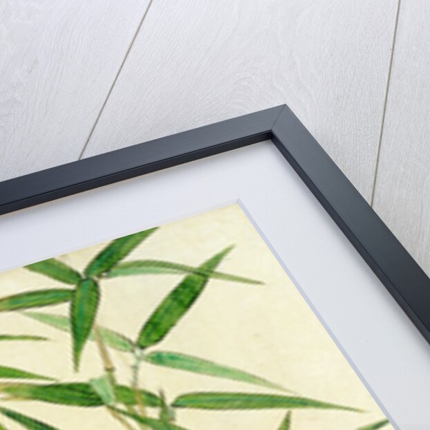 Bamboo by Unknown