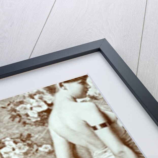 Wallpaper. US, 19-20th century by Unknown