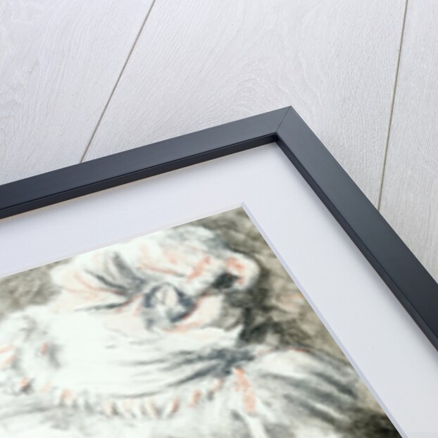 The Pinned Hat by Auguste Renoir