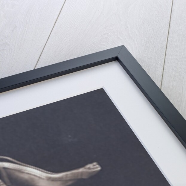 Prince George by H. Walter Barnett