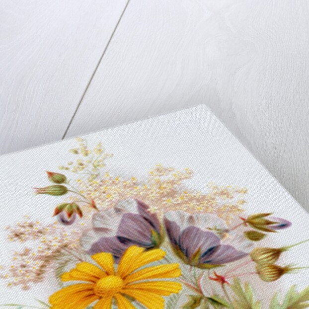 Wildflower bunch. London, England, late 19th century by Unknown