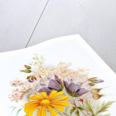 Wildflower bunch. London, England, late 19th century by Unknown