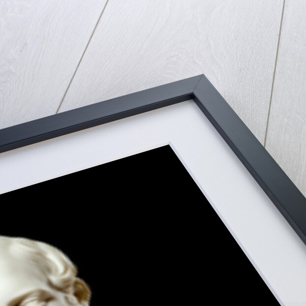 Bust of Prince Albert by Carlo Marochetti(Baron)