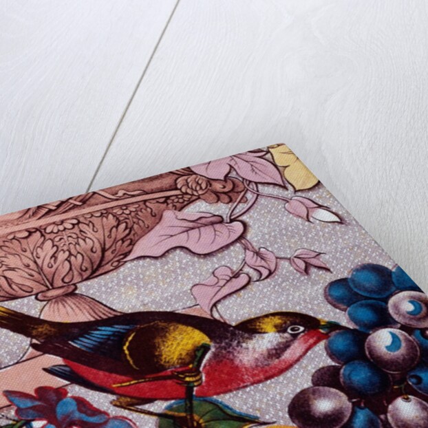 The Birds of America by John James Audubon