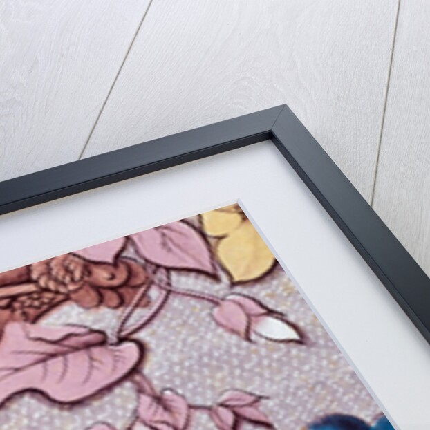 The Birds of America by John James Audubon