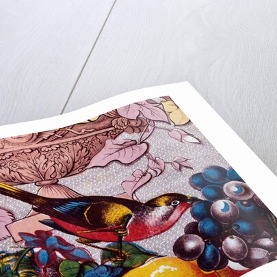 The Birds of America by John James Audubon