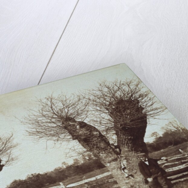 Hedgerow Trees by Benjamin Brecknell Turner