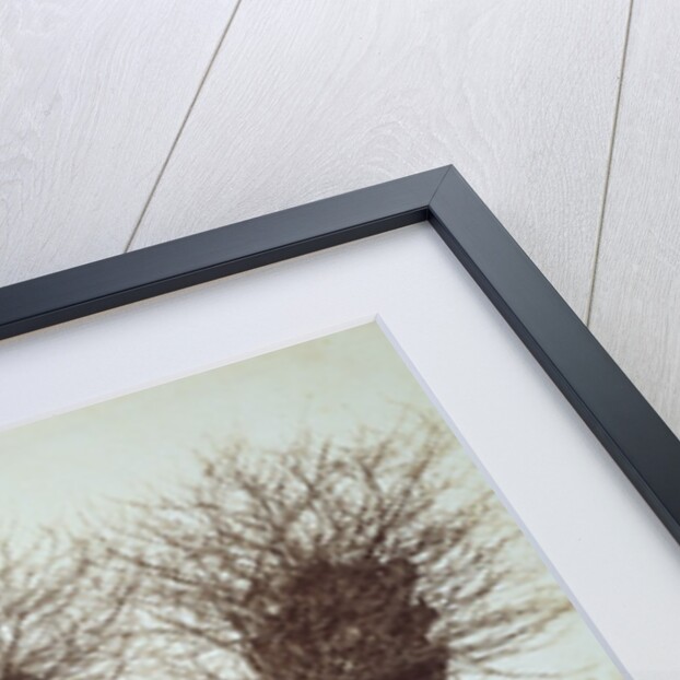 Hedgerow Trees by Benjamin Brecknell Turner