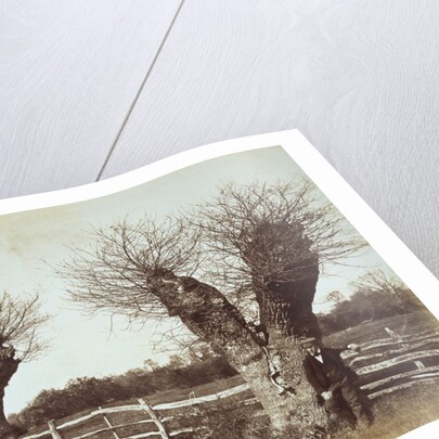 Hedgerow Trees by Benjamin Brecknell Turner