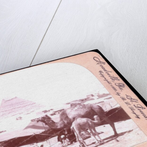 A baby of the desert by B. L. Singley