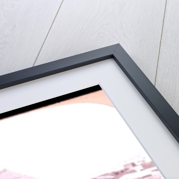 A baby of the desert by B. L. Singley