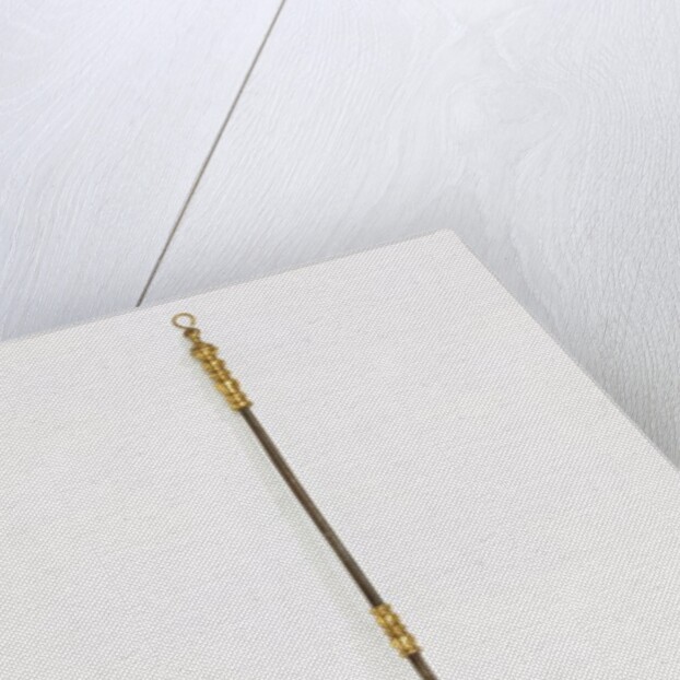 Warming-pan. England, 17th century by Unknown