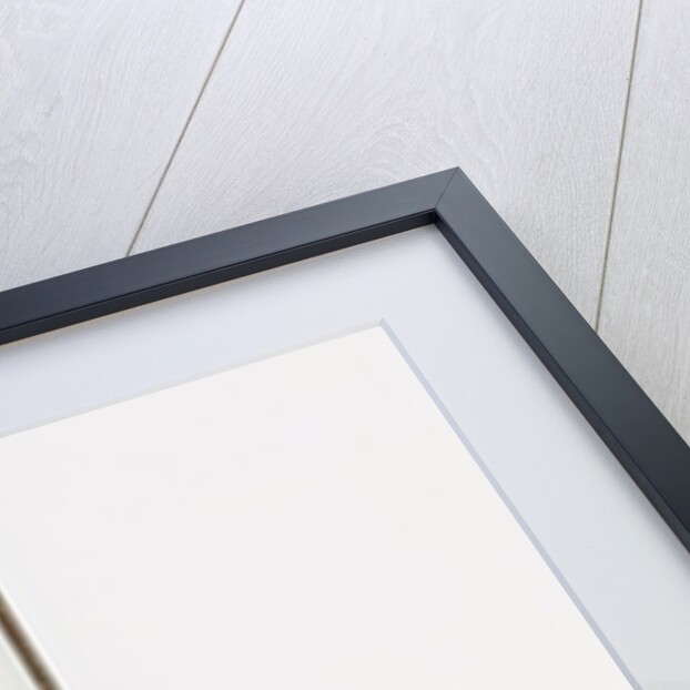 Warming-pan. England, 17th century by Unknown