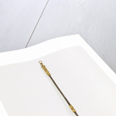 Warming-pan. England, 17th century by Unknown