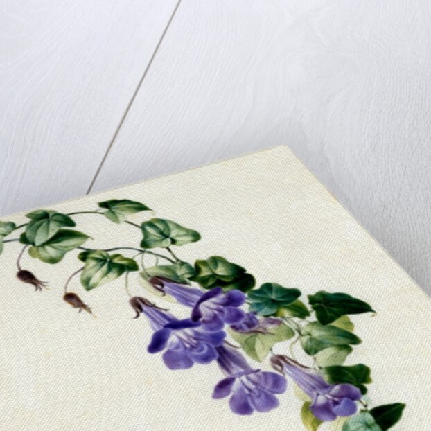 Trumpet shaped flowers by Unknown