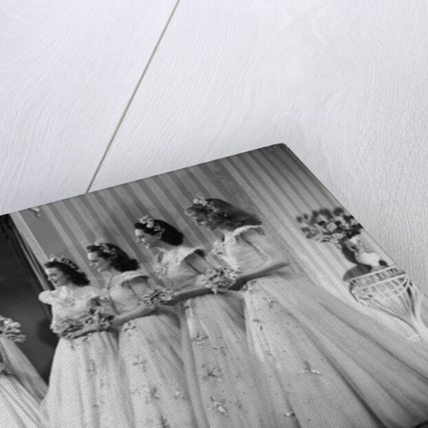 Bride, Groom & Bridesmaids by Houston Rogers