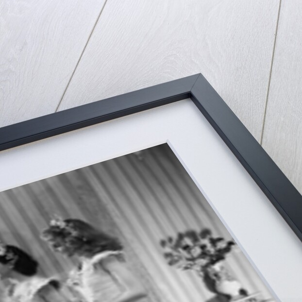 Bride, Groom & Bridesmaids by Houston Rogers