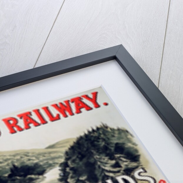 Railway Excursion Poster by unknown