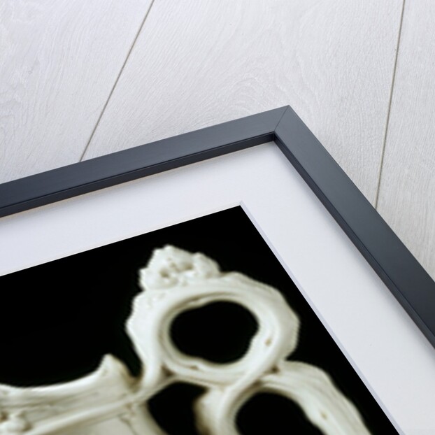 York Minster Jug by Unknown