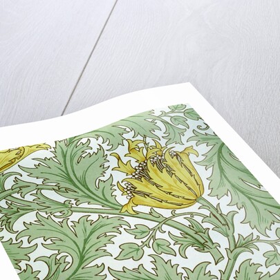 Anemone wallpaper by William Morris