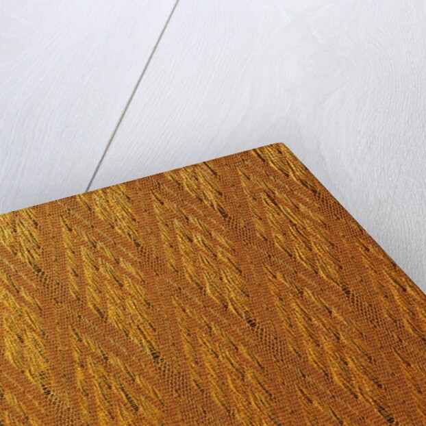 Coat, detail by Takeshi Kitamura