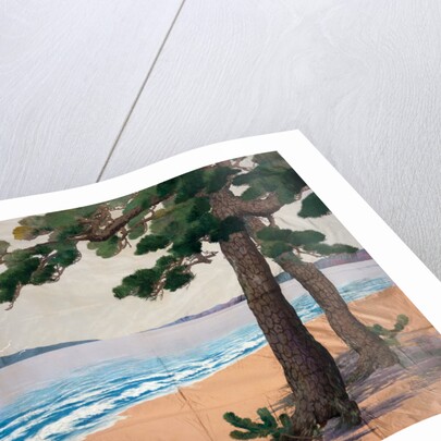 Hanging, Pine Trees on the Seashore. Japan, 19th century by Unknown