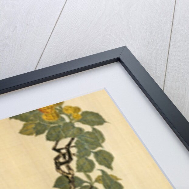 Hanging scroll, detail. Japan, late 19th century by Unknown