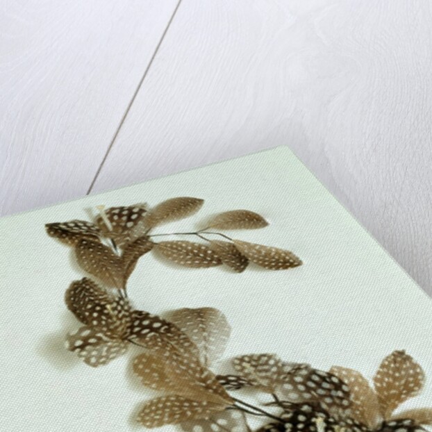 Feather ornament by Unknown